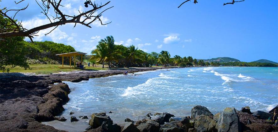 a beach with rocks and the ocean and palm trees at Beautiful House With Gazeebo Close to Beach in Ceiba