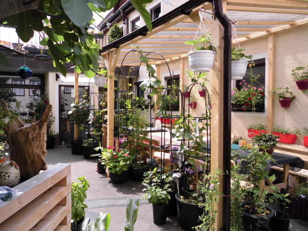 a greenhouse filled with lots of plants in pots at Ferienwohnungen Calwer Höfle Biergasse - für Firmen, Handwerker und Monteure in Calw