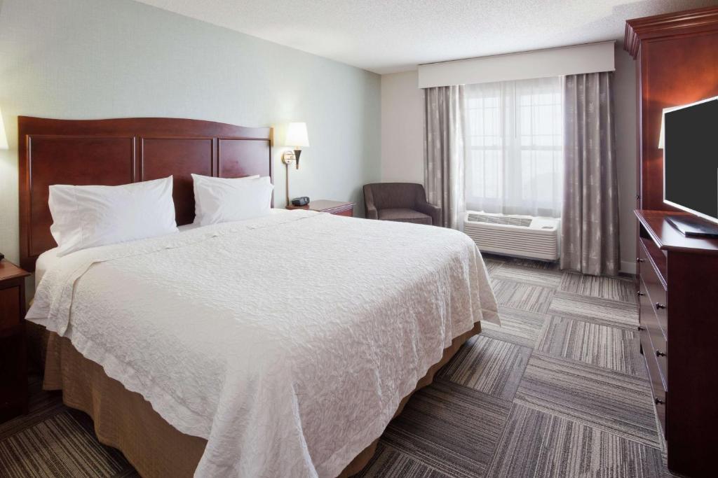 Hampton Inn Duluth-Canal Park - Suite King Con Whirlpool E Vista Lago - Non-Smoking