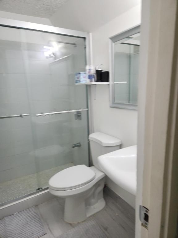 a bathroom with a toilet and a shower and a sink at JAMI PLACE in Kingston