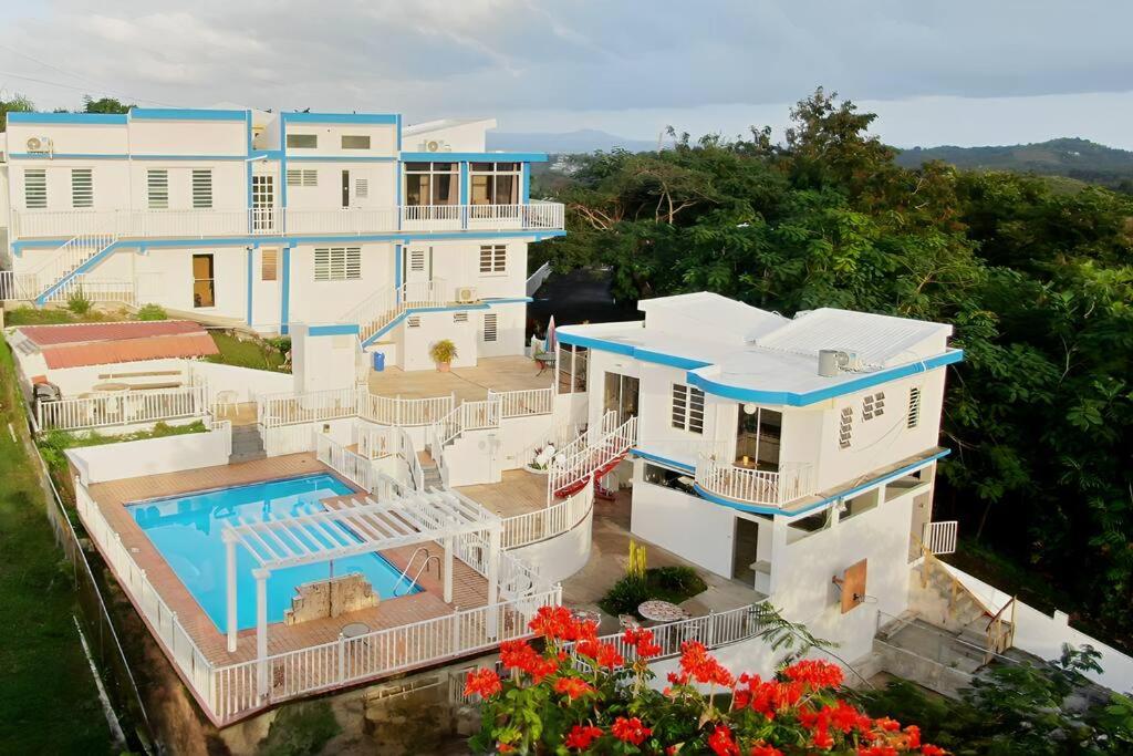 にあるHumacao Villa - 8BR, Pool, Palmas, Ocean Viewsのスイミングプール付きの家屋の空中ビュー