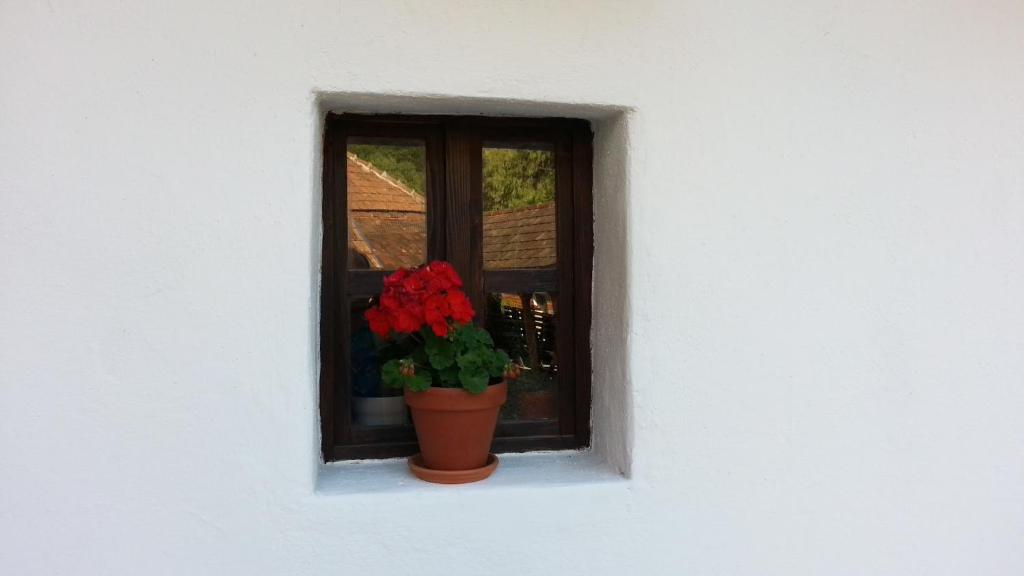 una ventana con una maceta de flores en el alféizar de la ventana en Zempléni Pitvaros Pihenő, en Telkibánya