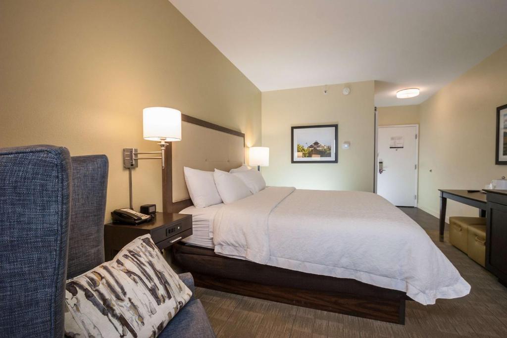Hampton Inn - Great Falls - Room King - Non-fumeur