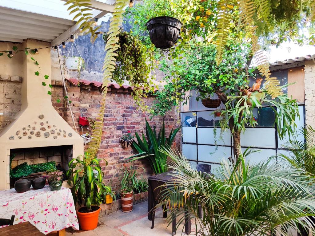 d'un patio orné de plantes et d'un mur en briques. dans l'établissement Casa de Chavela, à Villa de Leyva