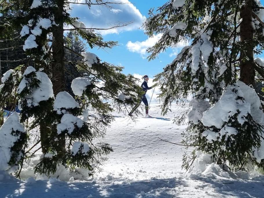 a person is walking in the snow between trees at Macesen apartment Rogla in Zreče