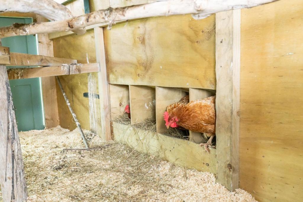 Magnolia Cottage Whatawhata - Resim 7