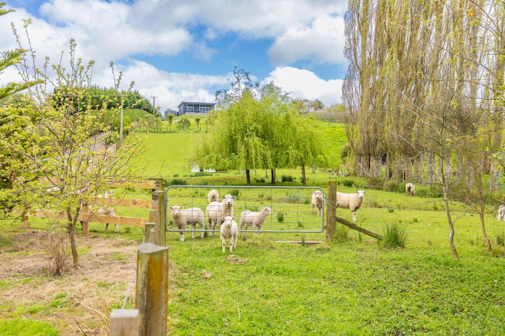 Magnolia Cottage Whatawhata - Resim 20