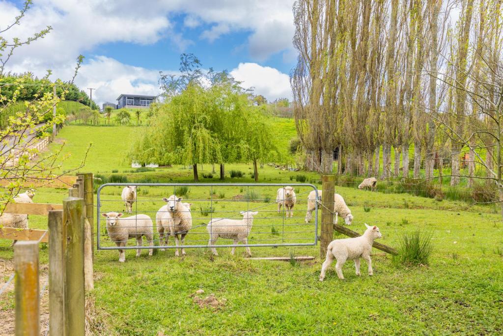 Magnolia Cottage Whatawhata - Resim 28