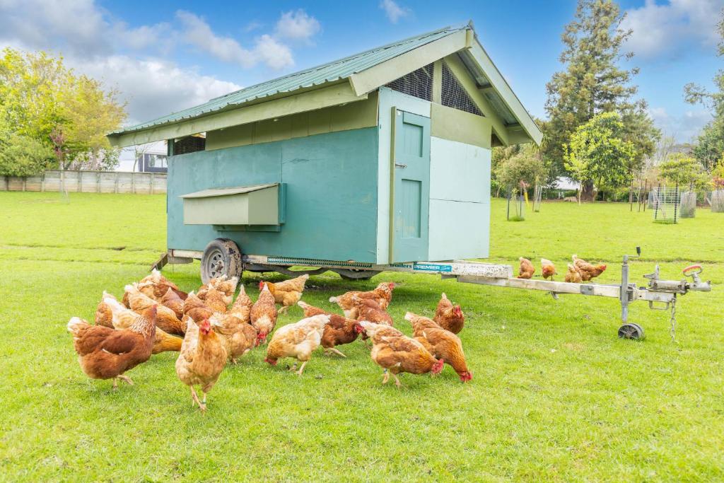 Magnolia Cottage Whatawhata - Resim 31