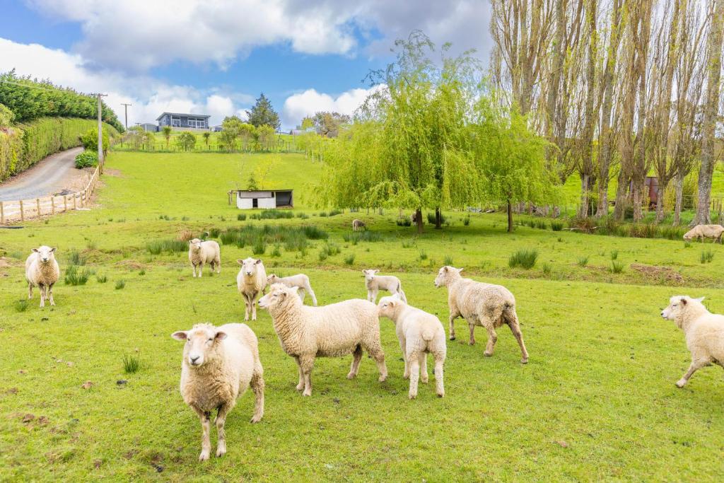 Magnolia Cottage Whatawhata - Resim 42