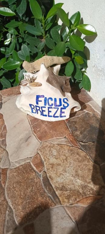 una señal que dice fris congelarse en una roca en Ficus Breeze en Nassau