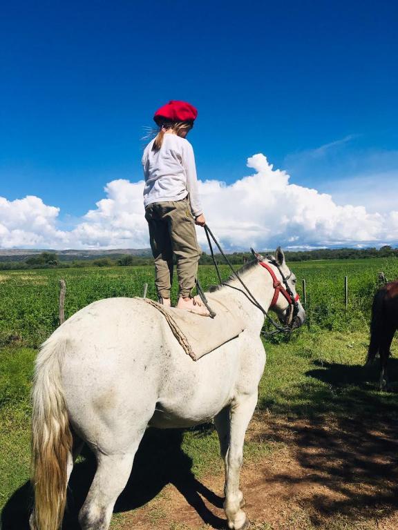 Portezuelo de árboles