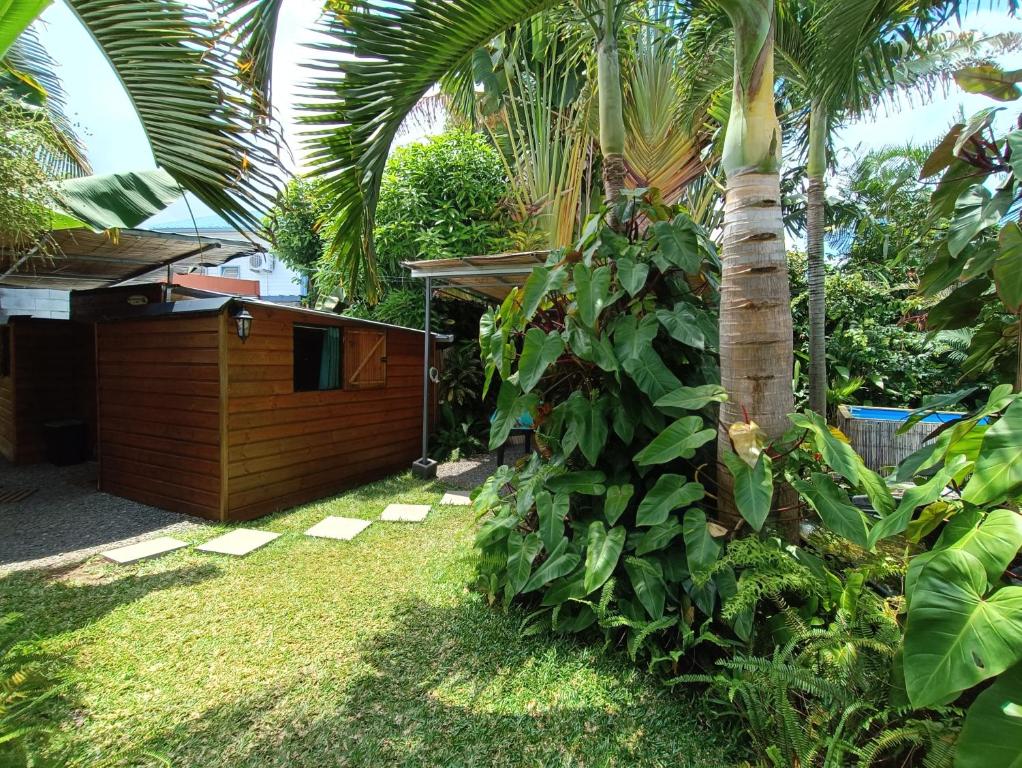 a garden with a palm tree and a building at Glamping de charme éco-responsable in Saint-Louis