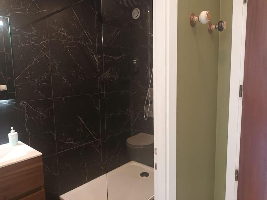 a bathroom with a black tiled shower with a toilet at La Marée, Studio vu mer Le Havre in Le Havre
