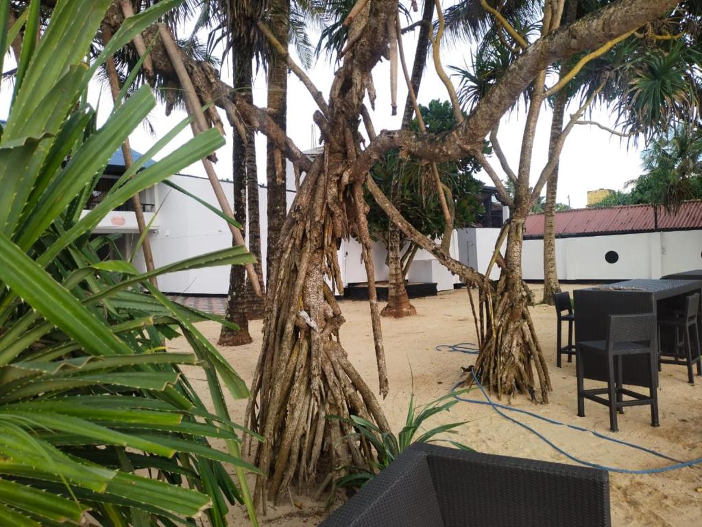 Příroda nedaleko hotelu