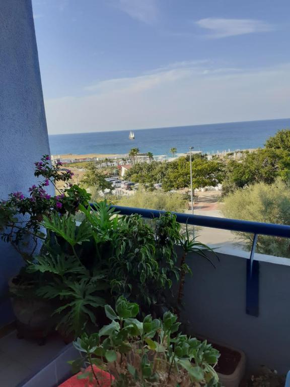 a balcony with plants and a view of the ocean at Maria del Mar in Monopoli