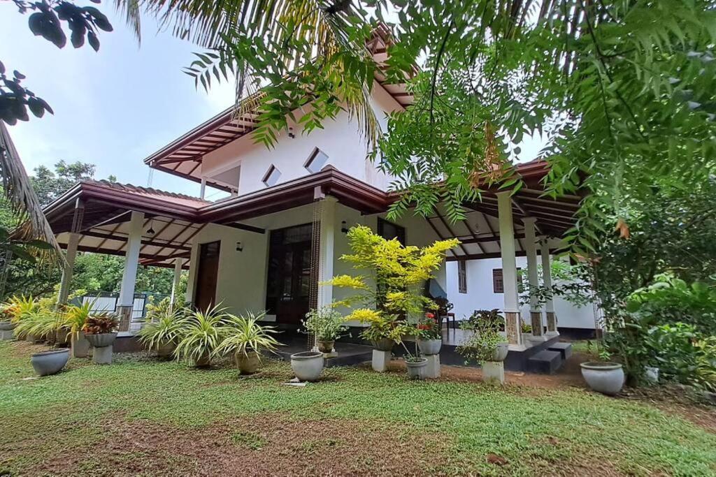 a house with a lot of plants in front of it at Spacious Greenery Homely Home in Ja-Ela