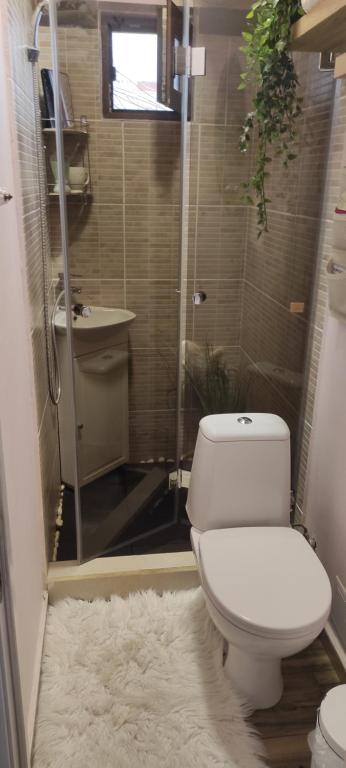 a bathroom with a toilet and a shower and a rug at Happy House in Kranevo