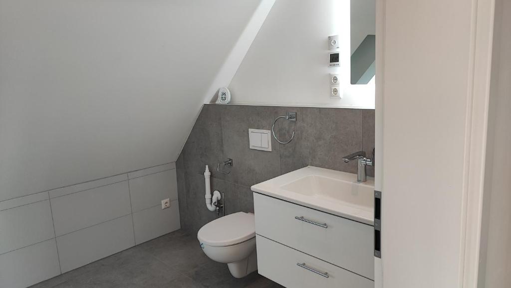 a small bathroom with a toilet and a sink at Dammstraße 24-DG-ZV38 in Salzgitter
