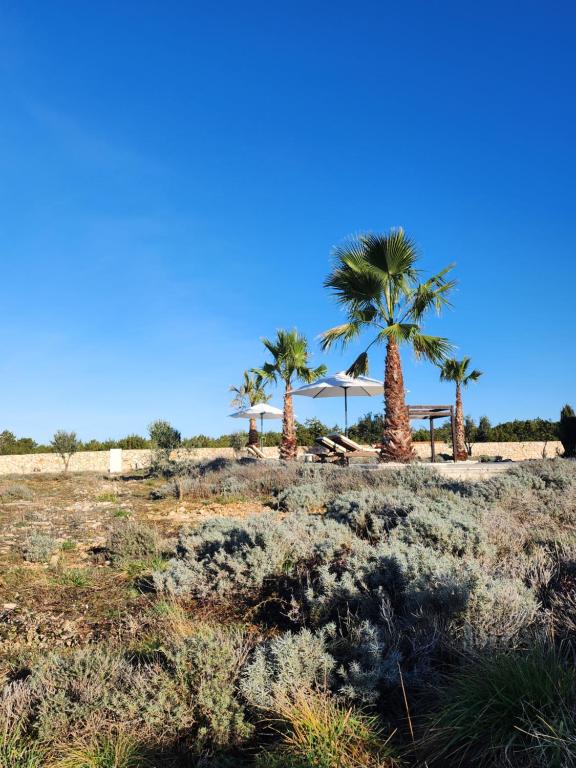 a group of palm trees and umbrellas on a field at Villa Melody Novalja in Novalja