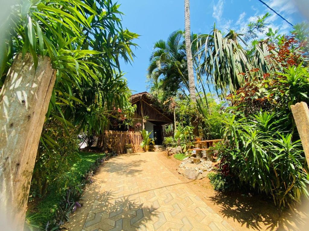 un camino que conduce a una casa con palmeras en Art house hiriketiya, en Dikwella