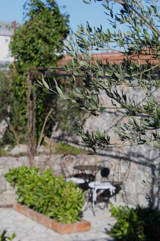 a patio with a table and chairs and plants at Hotel Opera Jaz in Budva