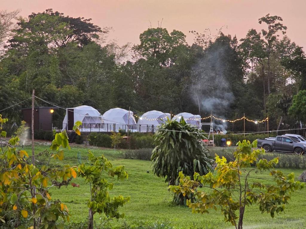a group of tents in a field with smoke at River hill khaoyai camping in Pong Talong