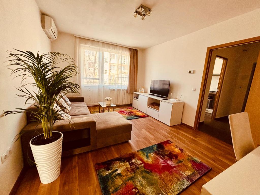 a living room with a couch and a plant at Sweet Apartament in Baia Mare