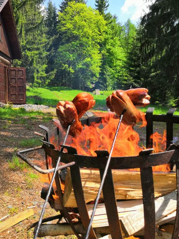 Zahrada ubytování Nadgalerii Soláň