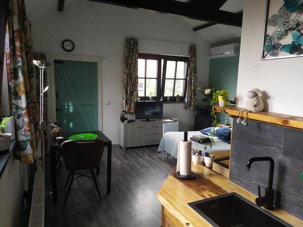 uma cozinha e sala de estar com uma cama e um lavatório em Bed and Breakfast Bianca em Standdaarbuiten