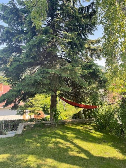 Zahrada ubytování Dömös Cube - kiadó nyaraló kilátással a Dunakanyarra