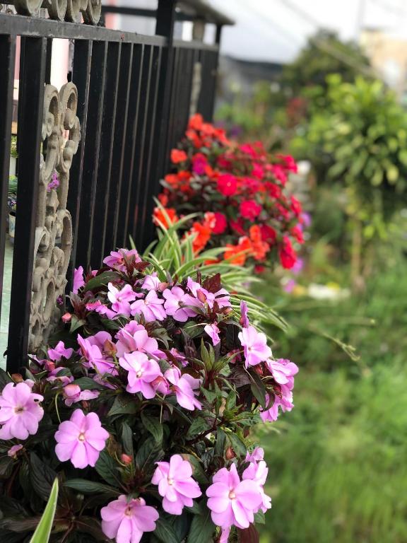 Vườn quanh The One Home Đà Lạt