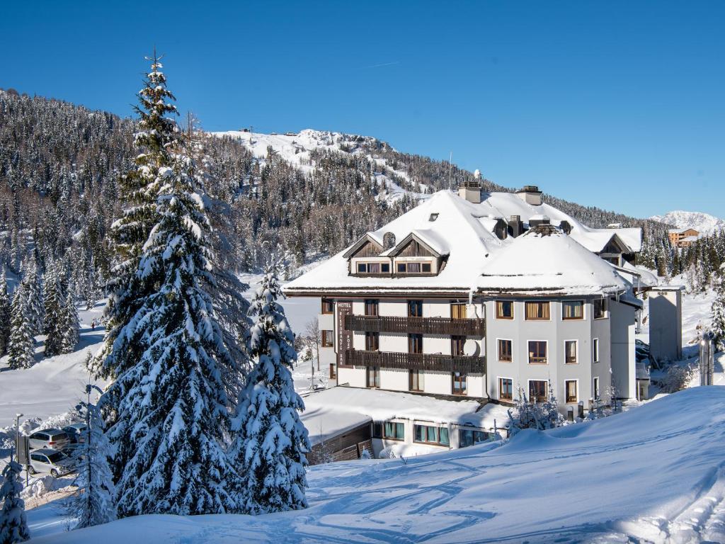 un edificio cubierto de nieve con un árbol en el primer plano en Biker Hotel Al Gallo Forcello, en Passo Pramollo