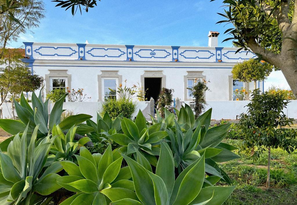 a white house with blue trim and plants at Quinta Baltazar Casa particular in Vila Nova de Cacela