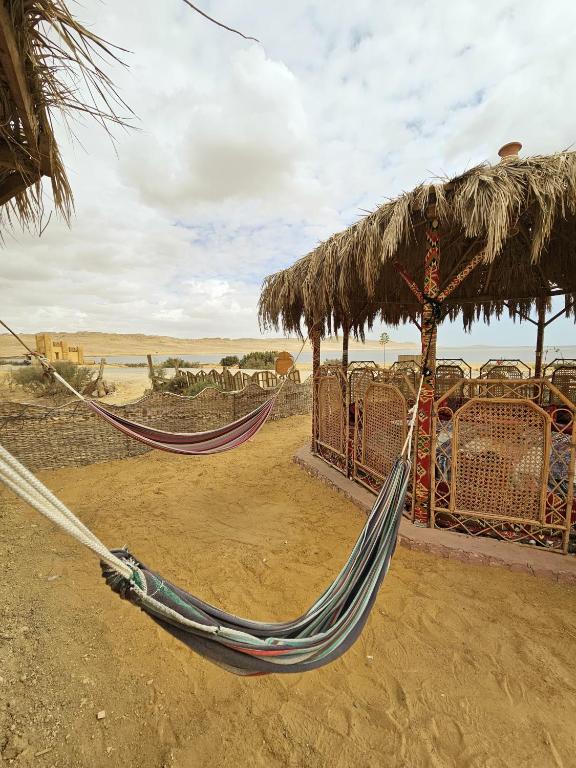 Fotografie z fotogalerie ubytování flamingo camp v destinaci Dār as Salām