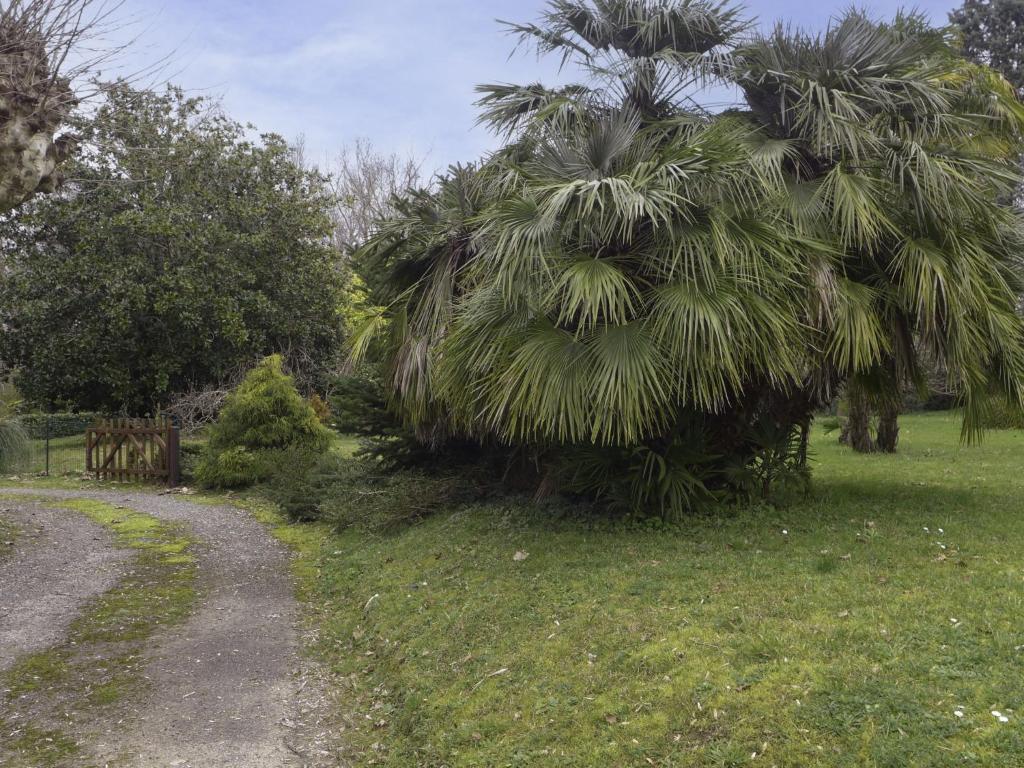 a palm tree next to a dirt road at Holiday Home Le chant des milans by Interhome in Ondres