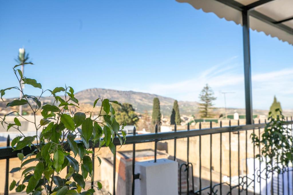 Nespecifikovaný výhled na hory nebo výhled na hory při pohledu z hotelu