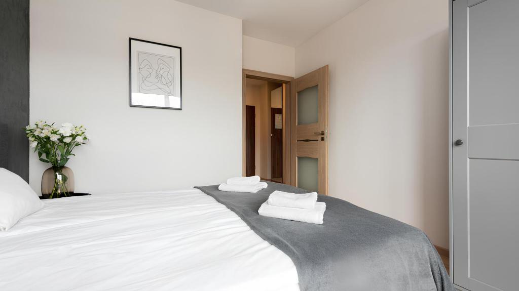 Flatbook - City Center SPA Apartments 6B,C - One-Bedroom Apartment