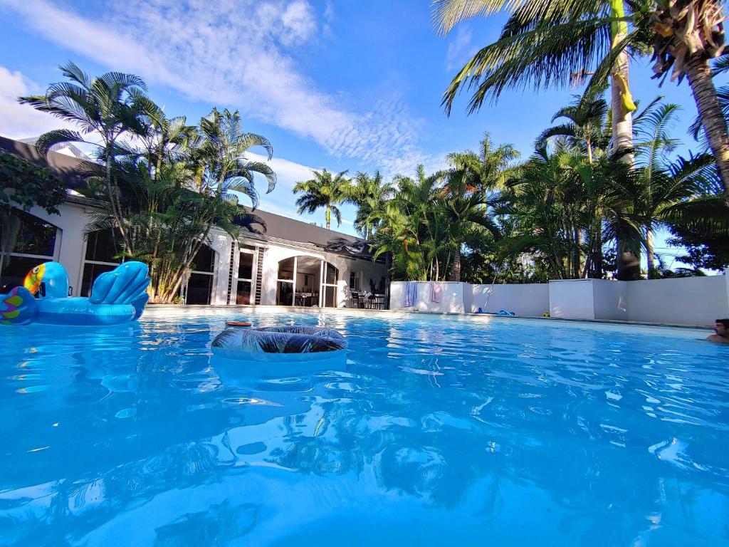 - une piscine en face d'une maison avec des palmiers dans l'établissement Eskal Péi, à L'Étang-Salé