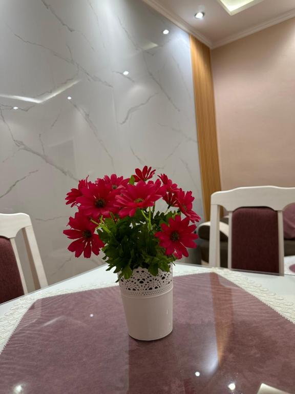 Milas Trojica Kotor - 1