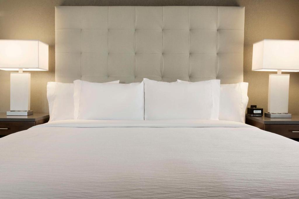 Embassy Suites by Hilton Greenville Downtown Riverplace - Suite King Studio