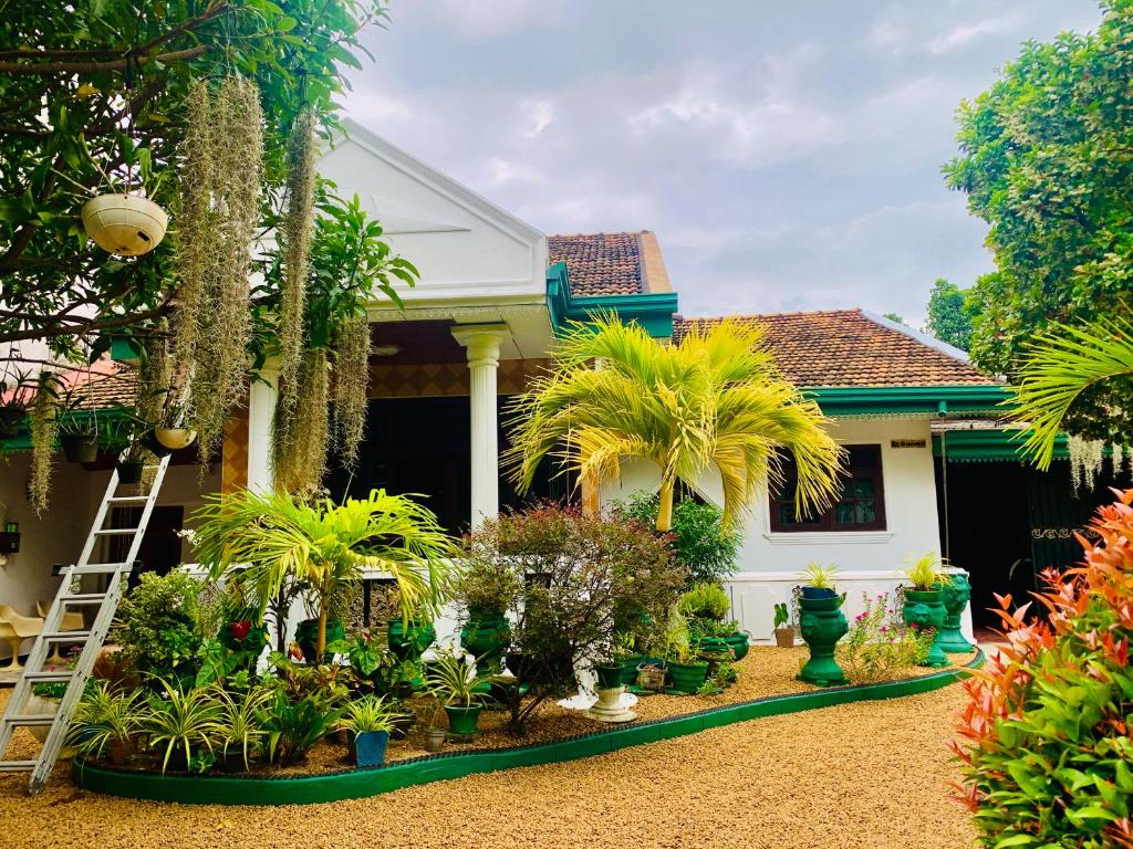 Zahrada ubytování Shehan Villa