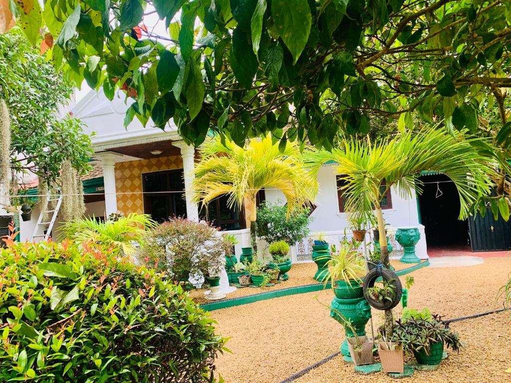 Zahrada ubytování Shehan Villa