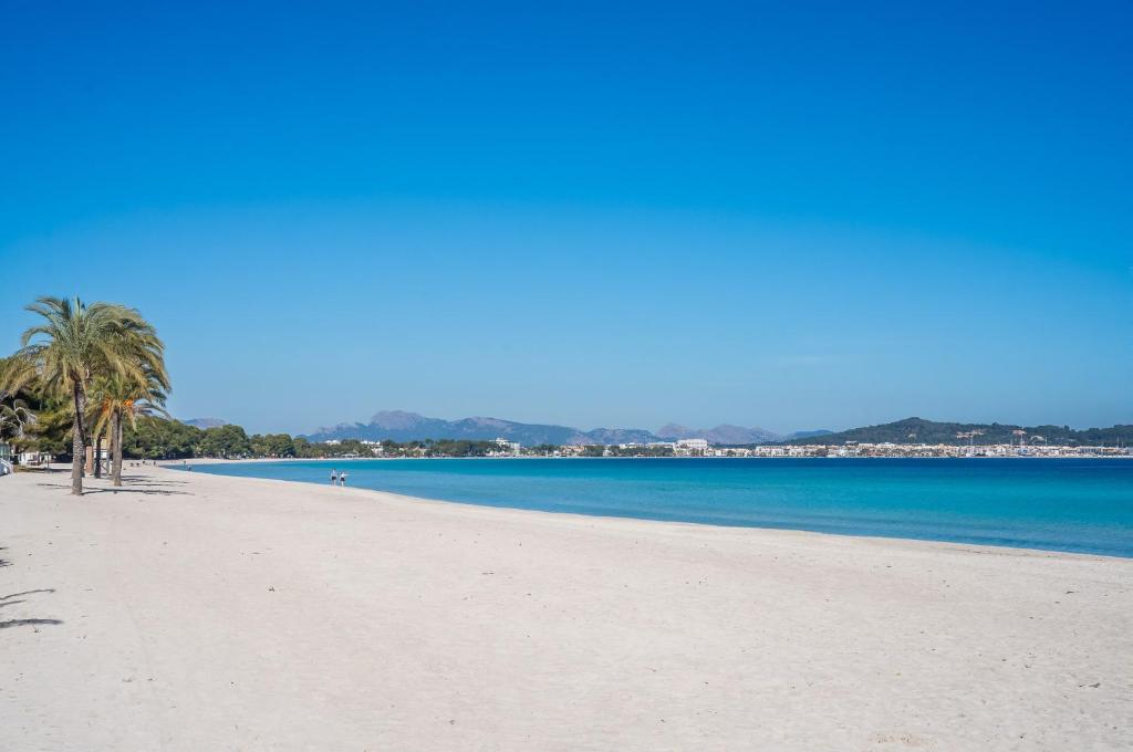 - une plage avec des palmiers et de l'eau bleue dans l'établissement Ideal Property Mallorca - Nice 4 You, à Port d'Alcúdia