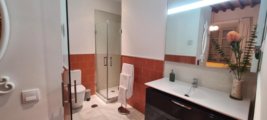 Apartamento Viña P. Málaga Centro - 8