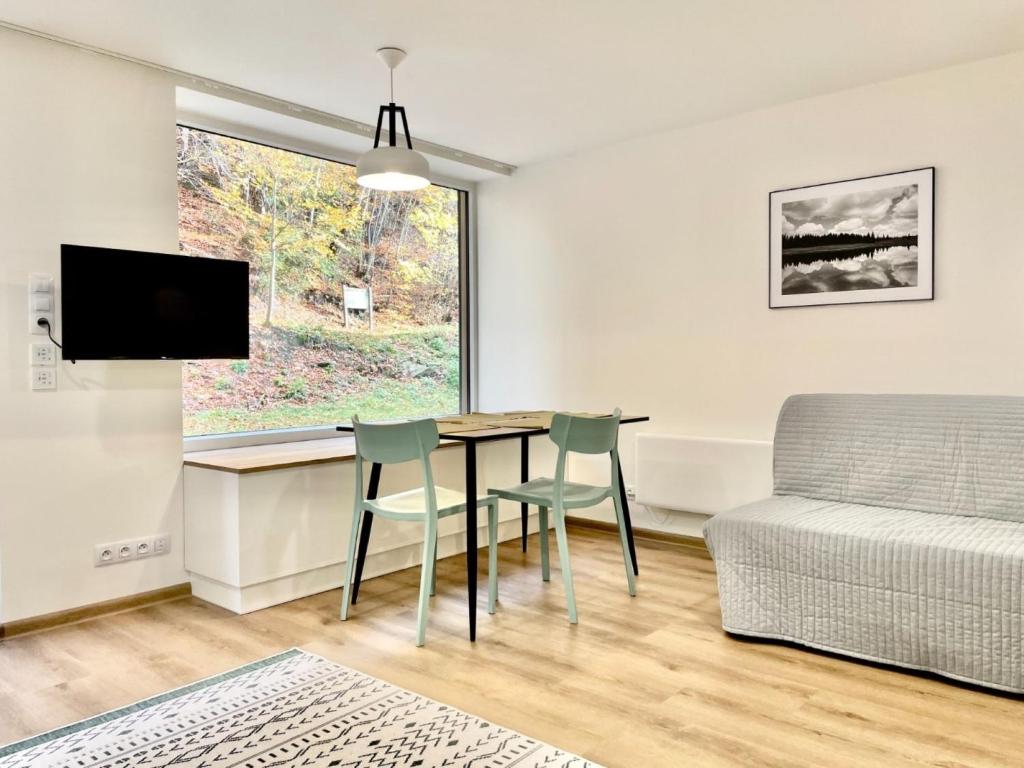 Televízia a/alebo spoločenská miestnosť v ubytovaní Apartment Port Jáchymov-2 by Interhome