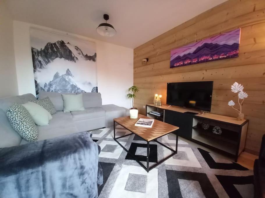 een woonkamer met een bank en een tv bij LE ZÈDÈL - Duplex 100m2 avec terrasse et jardin vue montagne in Aigueblanche