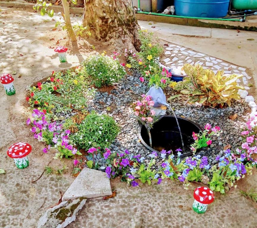 ogród z kwiatami i grzybami w obiekcie La Chambre de Cosy w mieście Libreville