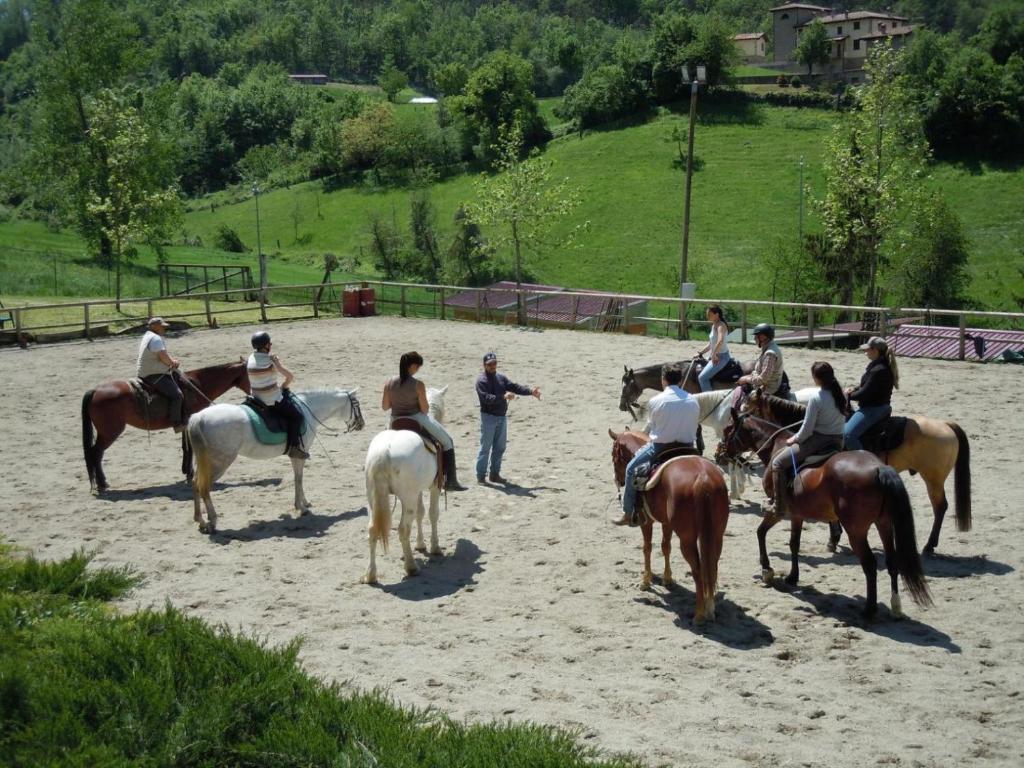 un grupo de personas montando caballos en la arena en Locanda La Posta, en Castel dʼAiano