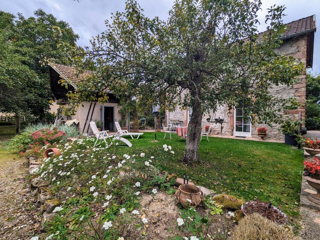 un jardín con un árbol y flores frente a una casa en Gîte Saulcy-sur-Meurthe, 3 pièces, 4 personnes - FR-1-589-256 en Saulcy-sur-Meurthe